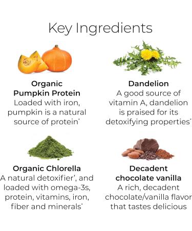 Buy Hush & Hush PlantYourDay Vegan Super Greens | Pea Protein Powder Broccoli Fiber Probiotics - Gluten Free Superfood 14.18 oz - Buy Online on GoSupps.com