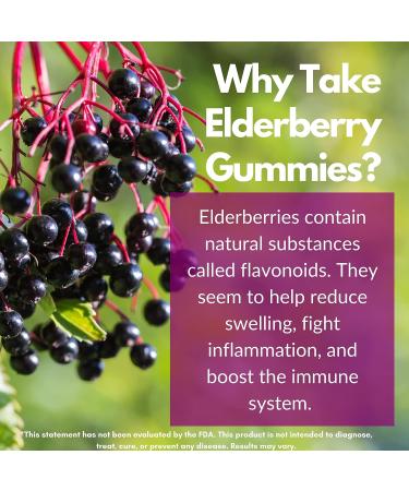 Herman Organic Zinc Elderberry Gummies with Vitamin C - Immune Support Supplements for Adults - Gummy Vitamins for Women and Men - Buy Online on GoSupps.com