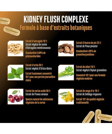 Kidney Essentials - 270 g lules - complexe Botanical Flush hautement dos avec extraits d astragale d ortie de cerise griotte d corce de pin de c leri et de verge d or - vegan - Buy Online on GoSupps.com