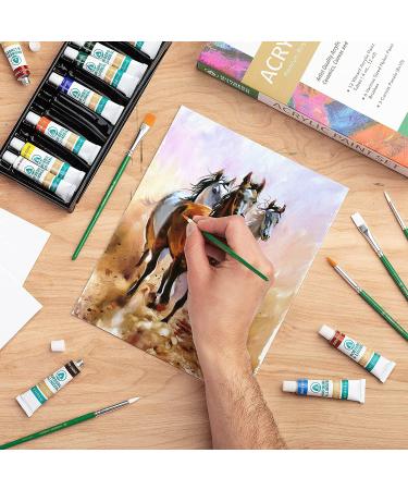 Norberg & Linden Acrylic Paint Set with 12 Colors, 6 Brushes, and 3 Canvas Panels - Premium Art Supplies for Adult Artists - Buy Online on GoSupps.com