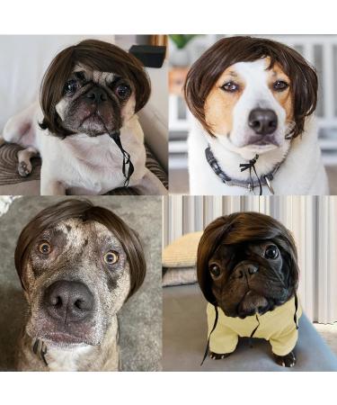 Funny Dog & Cat Role Play Wigs for Halloween & Parties | Pet Costumes in Black & Brown - Small Medium & Large Sizes - Buy Online on GoSupps.com