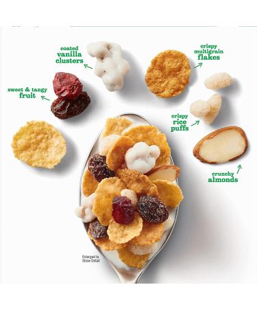 Basic 4 Multigrain Breakfast Cereal - Family Size 19.8 oz (Pack of 6) | High Fiber & Nutritious - Buy Online on GoSupps.com