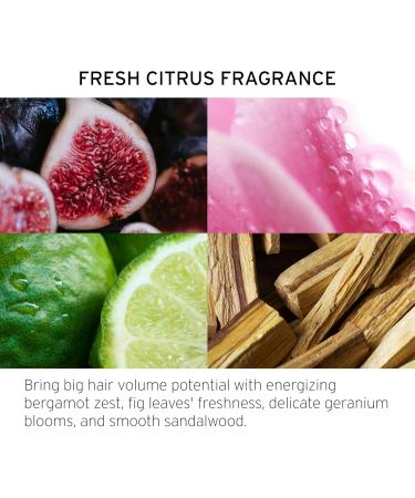 Mascara Volume -73020 - Buy Online on GoSupps.com