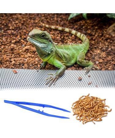 MFUOE 2 Pcs Reptiles Feeding Tweezers Plastic Tweezers Anti-Slip Reptile Feeding Tongs for Snakes Lizard Tortoise Gecko - Buy Online on GoSupps.com