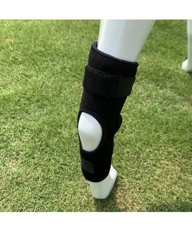 Dog Rear Leg Brace Prevent Licking Fixing Strap Spring Support Canine Rear Hock Support Pet Protective Gear for Leg Wounds Injuries Helps with Loss of Stability(S) - Buy Online on GoSupps.com