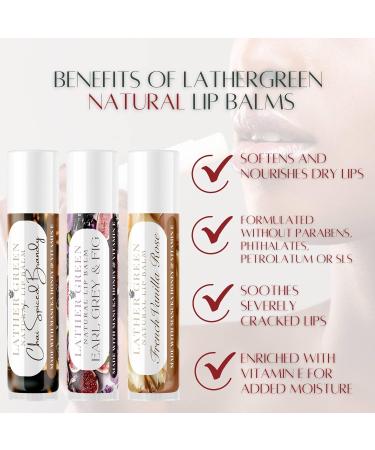 Caramel Apple Natural Lip Balm Moisturizing Lip Care Stick with Shea Butter & Vitamin E Plant-Based Tint-Free Lip Balm Suitable for All Ages - Pack of 3 Caramel Apple 1 Count (Pack of 3) - Buy Online on GoSupps.com