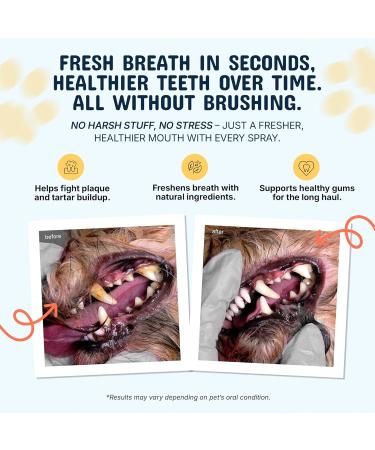 Pets Are Kids Too Premium Pet Dental Spray - 8oz | Eliminate Bad Breath & Gum Disease | No Brushing Needed | Digestive Aid | 1 Bottle - Buy Online on GoSupps.com