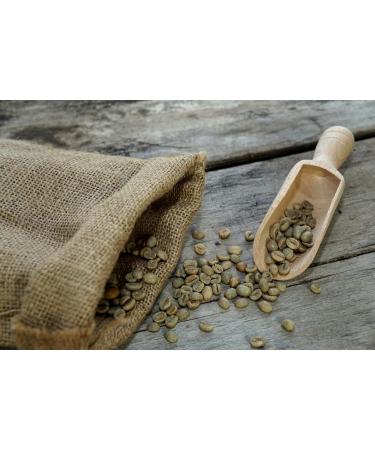 Premium Arabica Green Coffee Beans - Raw Coffee 10kg Sizes - International Shipping - Buy Online on GoSupps.com