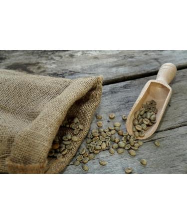 250g Arabica Green Coffee Beans - Premium Quality Raw Green Coffee for International Shipping - Buy Online on GoSupps.com