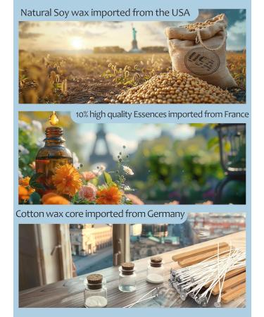 Strong Scented Sandalwood Candle - 11.3 Oz | 50 Hours Burn Time | Elegant Home Decor & Gift for Women - Buy Online on GoSupps.com