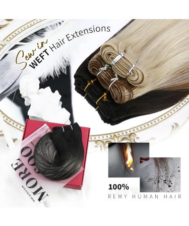 Moresoo Human Hair Extensions Weft Black and Silver Sew in Hair Extensions Double Weft Hair Extensions Real Human Hair 22 Inch 100g #1B/Silver/1B 22 Inch(Pack of 1) WEFT #1B/Silver - Buy Online on GoSupps.com