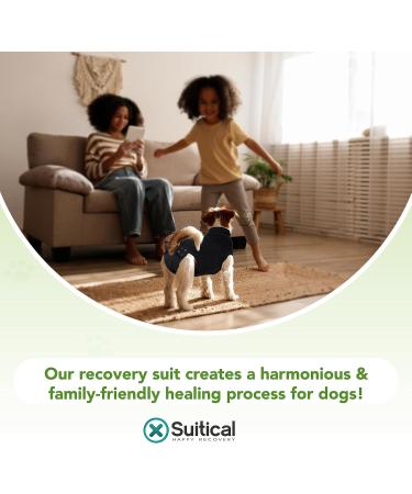 Suitical Recovery Suit Dog Extra Small Black - Single - Buy Online on GoSupps.com