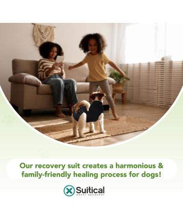 Buy Suitical Recovery Suit for Dogs - M+ Size in Black | Ideal Post-Surgery Pet Wear - International Shipping Available - Buy Online on GoSupps.com