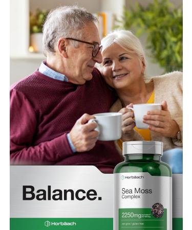 Horb ach Sea Moss Complex Capsules | 2250mg | 120 Count | Complex Formula with Bladderwrack & Burdock Root | Non-GMO & Gluten Free Supplement - Buy Online on GoSupps.com