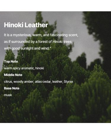 Pleuvoir Hinoki Leather Hand Wash 10 fl. oz | Moisturizing Vegan & Cruelty-Free Cleanser for Sensitive Skin - Buy Online on GoSupps.com