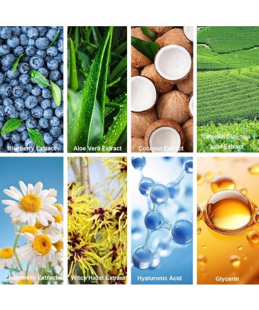 COLZYTLI Blueberry Skin Care Kit for Women Antioxidant Reduce Wrinkles Maintain Skin Shine and Elasticity with Face Cream Serum Cleanser Toner - Buy Online on GoSupps.com