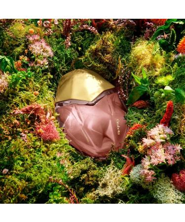 Orebella Window2Soul Parfum 3.4 fl oz - Buy Online on GoSupps.com