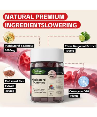 Q'ankyaq Cholesterol Lowering Gummies Plant Sterols & Stanols Supplement Red Yeast Rice with CoQ10 Liquid Drops 1200mg Red Rice Yeast Extract for Cholesterol Health - Buy Online on GoSupps.com