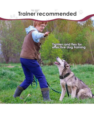 Martingale Dog Collar with Reflective Nylon Padded Half Choke with Side Release Buckle Dog Choke Collar for Medium Large Dogs Dog Training Collar (M black) M black - Buy Online on GoSupps.com