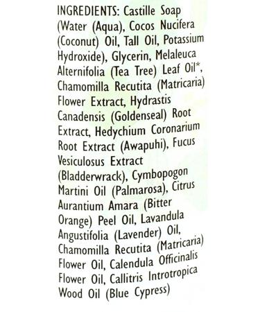 Trader Joe's Spa Face Wash with Tea Tree Oil - Set of 2 Packs - Buy Online on GoSupps.com