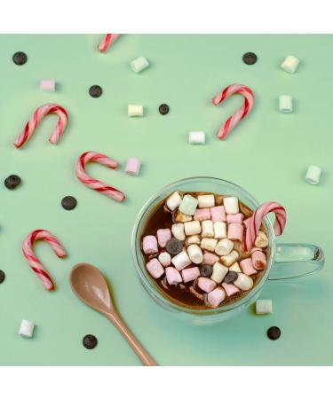 DIY Hot Chocolate Kit - Sweet Drinking Chocolate with Marshmallows & Candy Rod | 45g Chocolate Drops - Buy Online on GoSupps.com