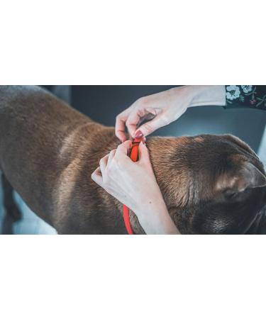 Vetocanis Red Dog Control Collar - 7 Years | Effective Training Solution - Buy Online on GoSupps.com