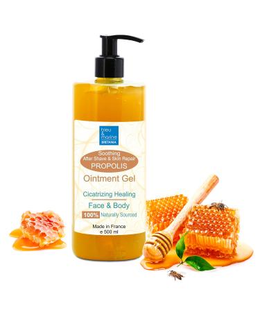 Pyrenees Care Balm Healing Gel Propolis Rescue Ointment Antimicrobial Properties Accelerates Healing Antioxidant Soothing and Moisturizing Cracks Acne Gel 500 ml