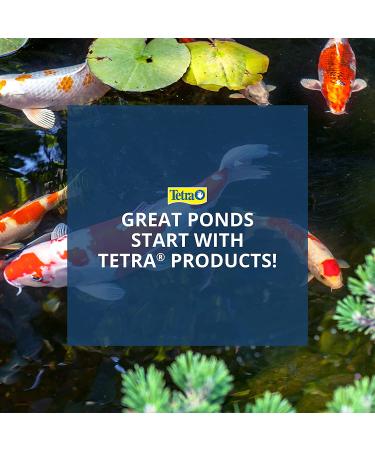 TetraFauna ReptoGuard Slow-Release Turtle Health Conditioner 3 Count - 19514 - Buy Online on GoSupps.com