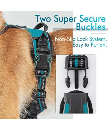 Rabbitgoo Medium Dog Harness - No Pull Adjustable Control Harness for Large Dogs Breathable & Safe Blue-Green (1 Pack) - Buy Online on GoSupps.com