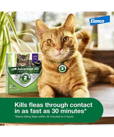 Advantage XD Flea Prevention for Small Cats (1.8-9 lbs) - Long-Lasting Treatment - 2 Pack - Buy Online on GoSupps.com