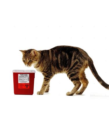 Oakridge Products 2.2 Quart Needle Disposal Container (3 Pack) | Personal Size - Buy Online on GoSupps.com