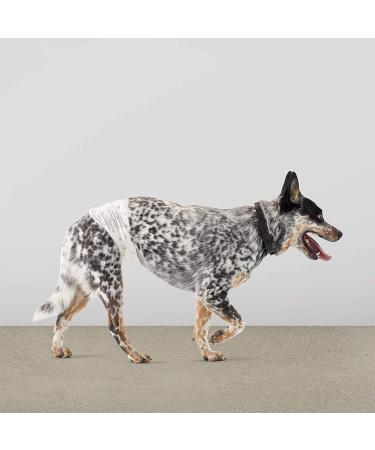 Amazon Basics Male Dog Wrap Disposable Diapers Medium - Pack of 30 - Buy Online on GoSupps.com