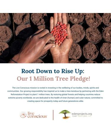 CoQWell CoQ10 Heart, Brain & Vascular Health Support | High-Absorption Patented CoQsol | 60 Softgels - Buy Online on GoSupps.com