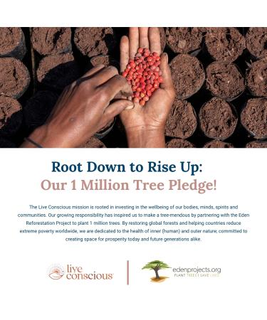 Beyond Brew Mushroom Superfood Coffee | Low Caffeine Healthy Coffee Substitute | With Prebiotics & Probiotics | 30 Servings 7 oz - Live Conscious - Buy Online on GoSupps.com