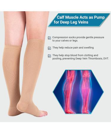 Open Toe Medical Compression Socks for Women & Men - XXL Beige - 1 Pair with Laundry Bag - Buy Online on GoSupps.com