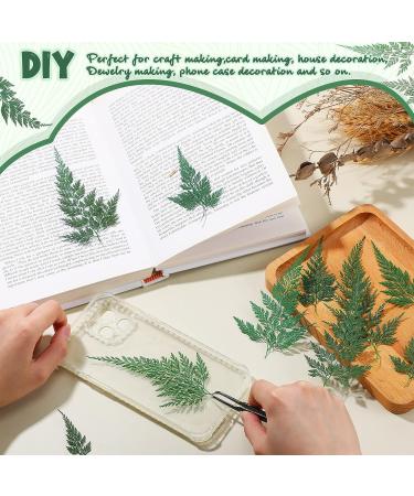 Dried Pressed Flowers and Leaves Set - 200Pcs Larkspur, Ferns, and Green Leaves for Resin Art, Wedding Decor, DIY Crafts - Natural and Preserved Dry Flowers - Buy Online on GoSupps.com