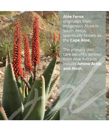 JDBotanics Aloe Ferox Gel | 20x More Potent than Aloe Vera | Hydrating & Soothing Make Up Primer | Post-Microneedling Treatment and Microcurrent Gel | Promotes Healing Reduces Redness (5.07 oz) 1 Fl Oz (Pack of 1) - Buy Online on GoSupps.com