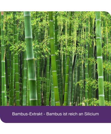  Dr. Loges flexiLoges Active Cartilage 240 capsules Coordinated nutritional concept for healthy joint function - Buy Online on GoSupps.com
