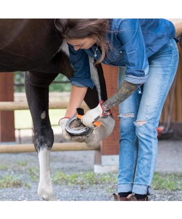 JVHLOV Horse Brushes Horse Grooming Kit Horse Hoof Pick Includes All Types of Horse Hair Brush Curry Comb and Hoof Pick - Buy Online on GoSupps.com