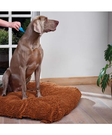 BEAPHAR CANICOMFORT - Calming pipettes with pheromones for dogs and puppies Reduces stress and unwanted behavior without dependence or drowsiness for up to 3 weeks 3 pipettes of 1 ml - Buy Online on GoSupps.com