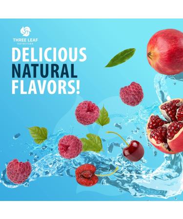 Three Leaf Nutrition Ashwagandha Gummies for Men & Women - Ashwagandha Supplements Supports Focus Memory Calmness & Energy - Ashwagandha Extract Gummy - 60 Gummies - Buy Online on GoSupps.com