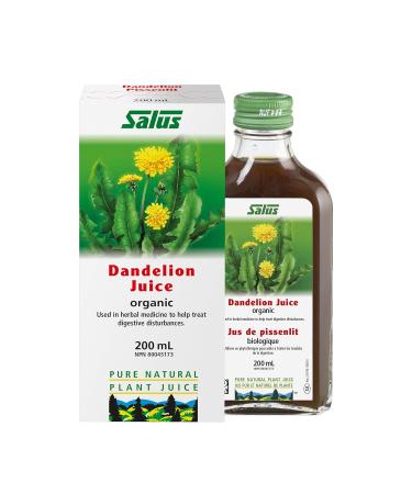  Zahn Juice Leon Eco 200 ml - Refreshing Organic Beverage for Healthy Living | International Shipping Available  - Buy Online on GoSupps.com