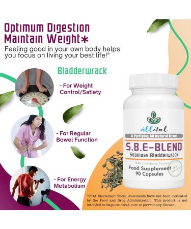 Allital Sea Moss and Bladderwrack Capsules with Elderberry - S.B.E Blend - Buy Online on GoSupps.com