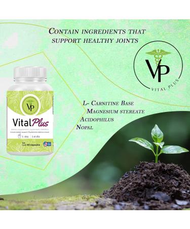 Vital Plus - Organic Energy Supplement for Varicose Veins & Joint Support | 60 Capsules - International Shipping Available - Buy Online on GoSupps.com