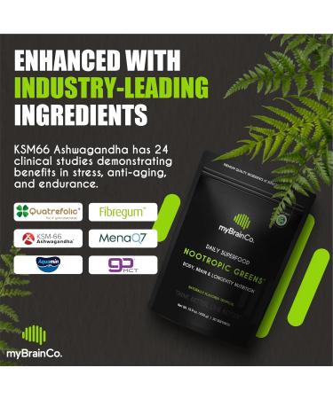 myBrainCo. Nootropic Greens - Premium All-in-One Body, Brain & Longevity Optimization Nutrition. Organic Greens & Superfoods, Alpha-GPC, L-Theanine, Lion s Mane, TMG, NR, NAC & More. (15.9 oz) 15.9 Ounce (Pack of 1) - Buy Online on GoSupps.com