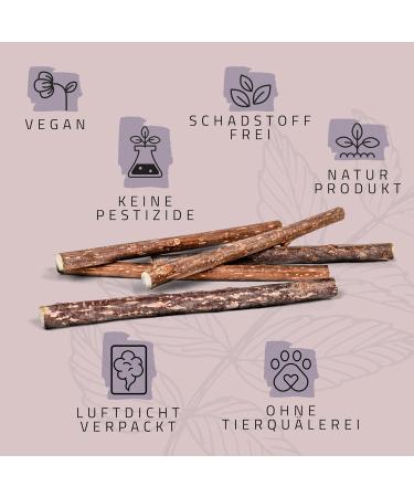 Buy Ne & No Gift Set with Natural Matatabi Sticks | 24 Dental Care Cat Sticks | Perfect Treats for Cats | International Shipping - Buy Online on GoSupps.com