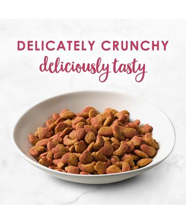 Purina Fancy Feast Filet Mignon Dry Cat Food with Seafood & Shrimp - 3 lb Bag - Buy Online on GoSupps.com