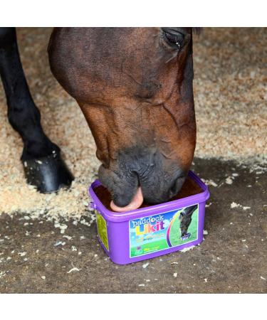 Likit Paddock 8kg | Horse Lick with Essential Vitamins & Minerals | Added Benefit of Garlic Yeast & Oils | 8kg - Buy Online on GoSupps.com