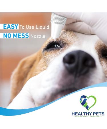 Pet Eye Drops: Antibiotic Ointment for Infection Relief in Dogs & Cats - Buy Online on GoSupps.com