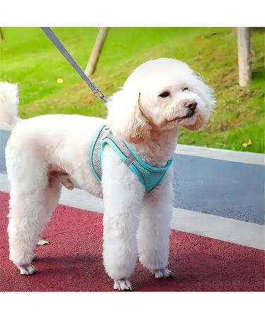 Shop Giapinst No Pull Dog Harness for Small Dogs | Adjustable Breathable with Reflective Stripes - Green & Gray - Buy Online on GoSupps.com